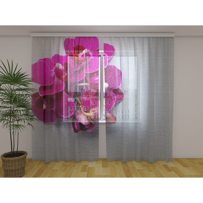 1,00 € Cortina personalizada - Orquídeas moradas sobre madera gris