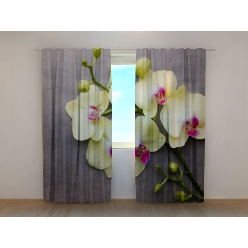 1,00 € Custom Curtain - Yellow Orchids on Wood