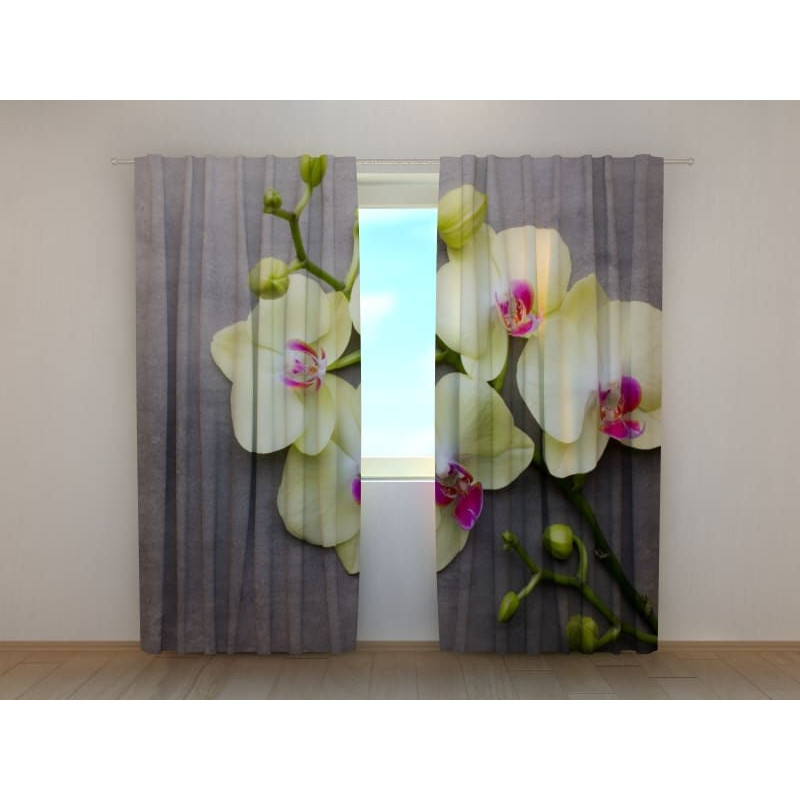 1,00 € Individueller Vorhang – Gelbe Orchideen auf Holz