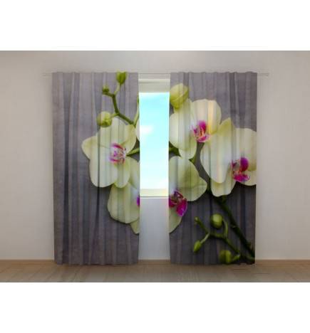 1,00 € Individueller Vorhang – Gelbe Orchideen auf Holz