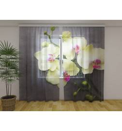Individueller Vorhang – Gelbe Orchideen auf Holz