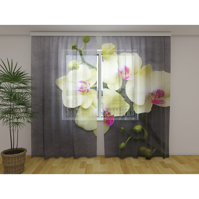 1,00 €Rideau Personnalisé - Orchidées Jaunes sur Bois