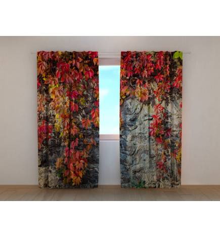 1,00 € Mukautettu teltta - Kukkia kallioseinässä