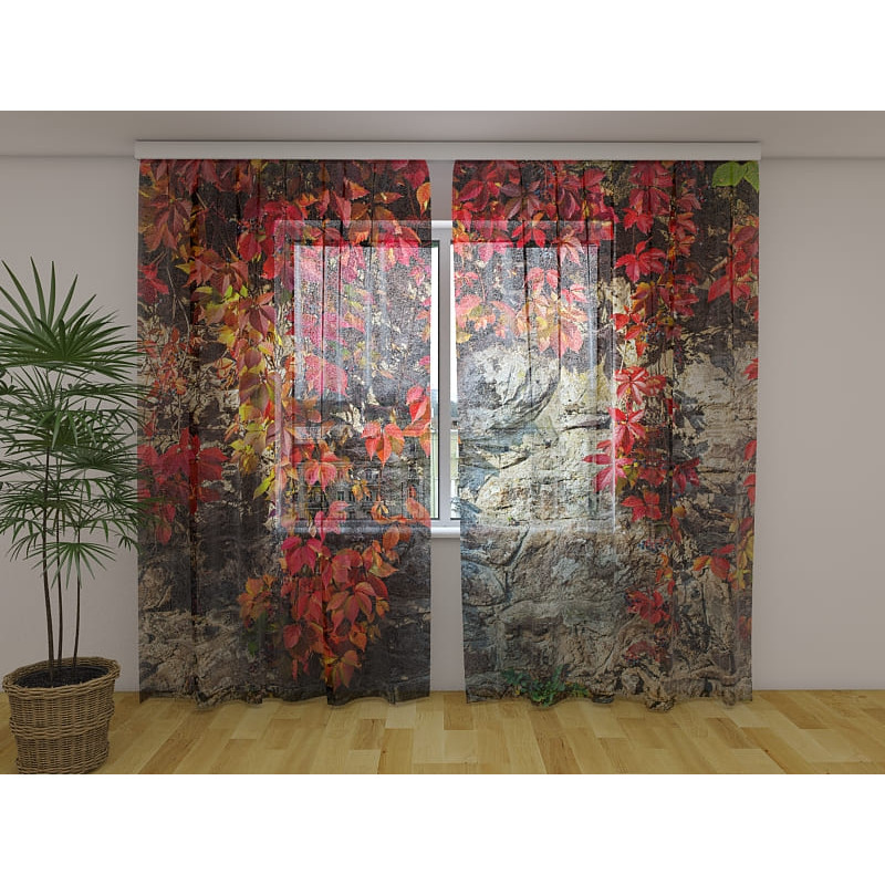 1,00 € Tienda personalizada - Con flores en una pared de roca