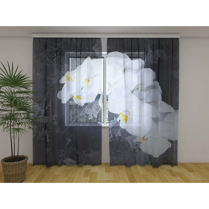 1,00 € Custom curtain - With white orchids on the wall