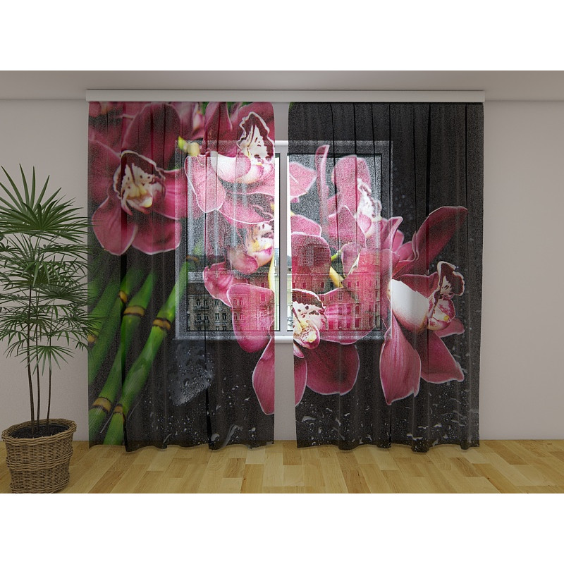 1,00 € Custom curtain - With bamboo in the night 1,00 € Custom curtain - With bamboo in the night