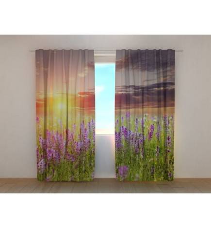 1,00 € Maßgeschneidertes Zelt – Lavendelblüten auf dem Berg