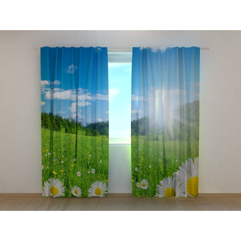 1,00 €Tenda personalizzata - Fiori di camomilla sulle alpi