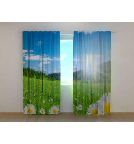 1,00 €Tente personnalisée - Fleurs de camomille dans les alpes