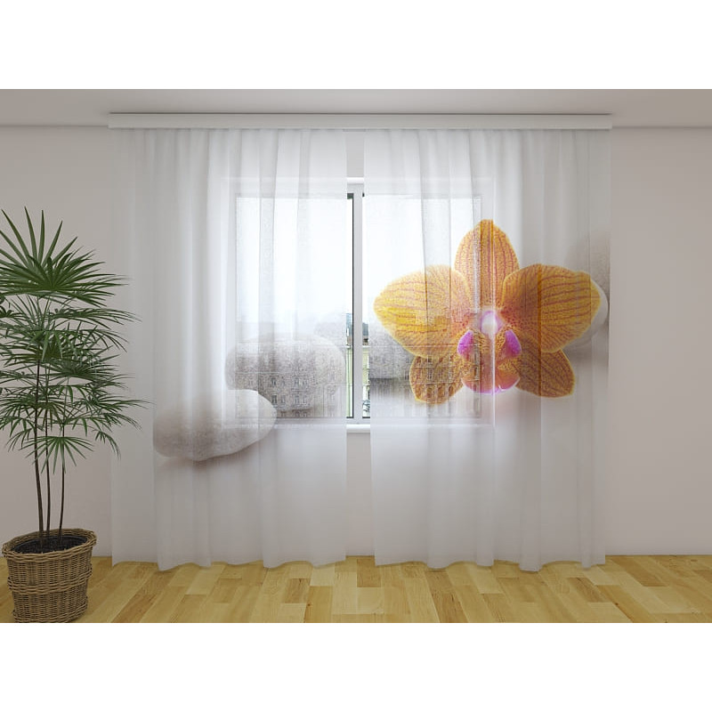 1,00 € Maßgeschneidertes Zelt – Steine und orangefarbene Orchideen