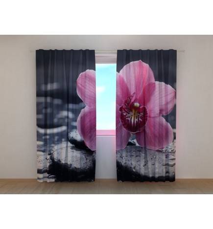 1,00 € Mukautettu teltta – jossa on vaaleanpunainen orkidea ja kiviä