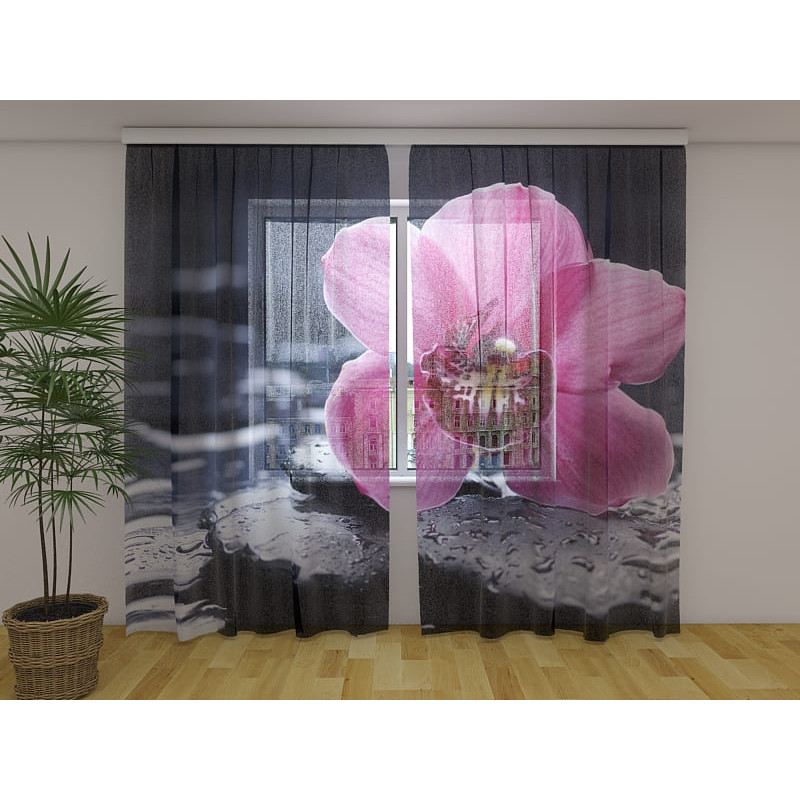 1,00 € Maßgeschneidertes Zelt – Mit einer rosa Orchidee und Kieselsteinen