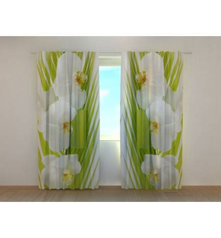 Custom curtain - Palm leaves and orchids