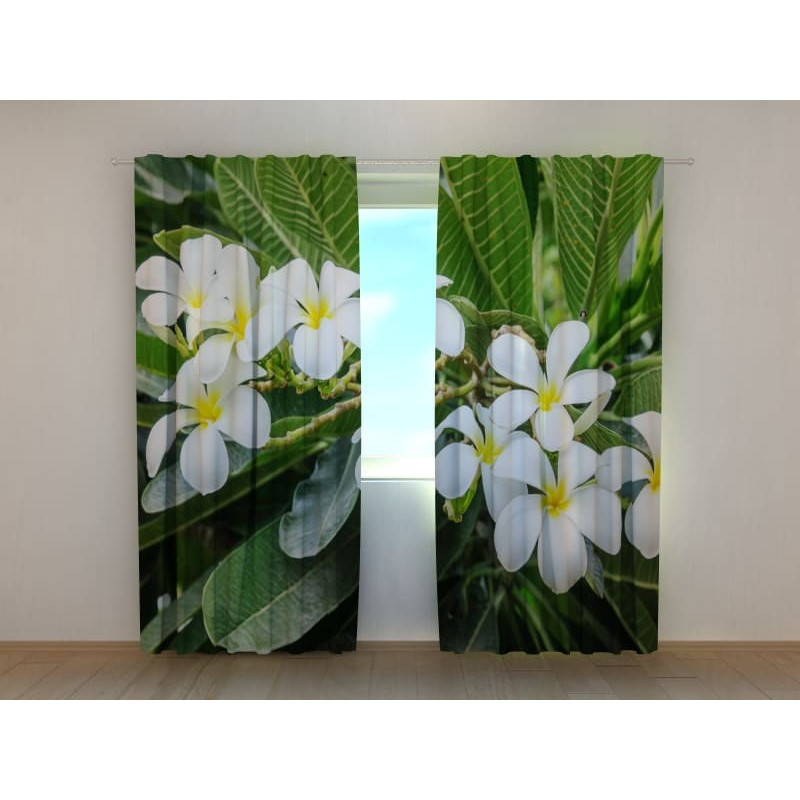 1,00 € Cortina personalizada - Hojas y flores de Plumeria
