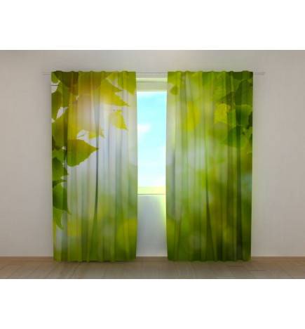 1,00 € Maßgeschneidertes Zelt – Eingebettet in die Blätter