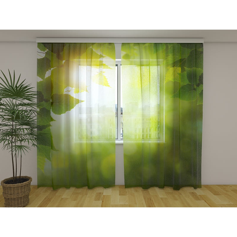 1,00 € Custom tent - Immersed in the leaves