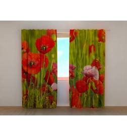 1,00 € Personalized curtain - Botany - Poppies