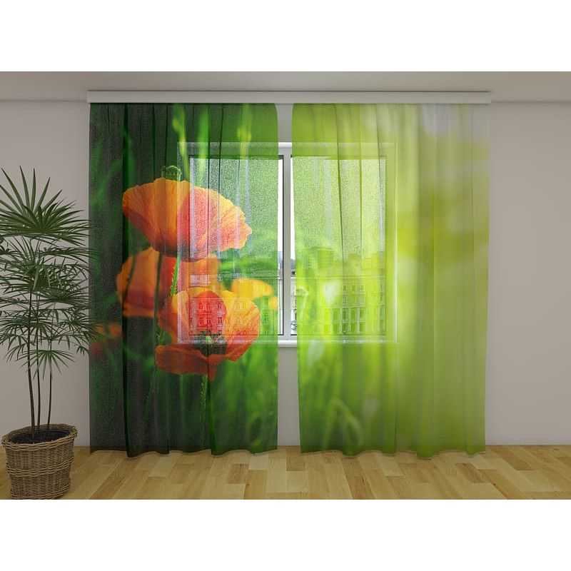 1,00 €Tenda personalizzata - Con i fiori nel campo - Papaveri