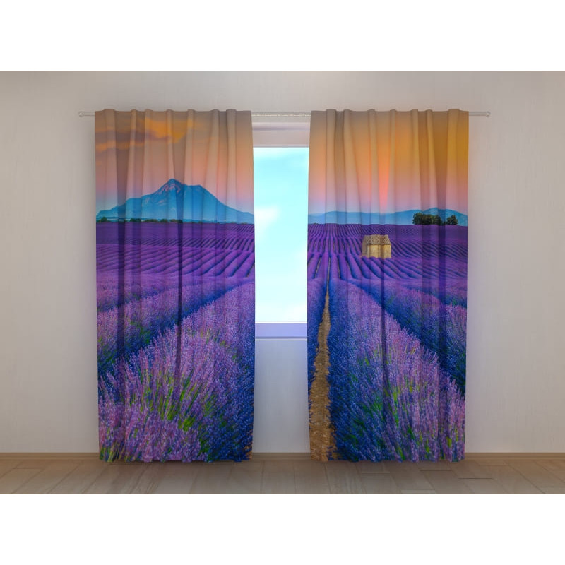 1,00 € Tienda personalizada - Campo de lavanda en las montañas