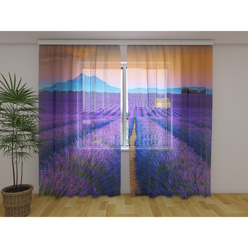 1,00 € Individualizuota palapinė – levandų laukas kalnuose
