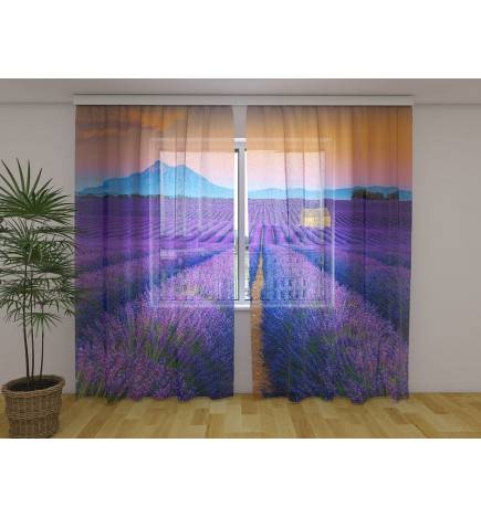 Tenda personalizada - Campo de lavanda nas montanhas