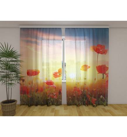 Cort personalizat - Cu maci la soare