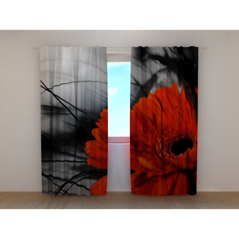 1,00 € Aangepaste tent - Met een nachtpapaver