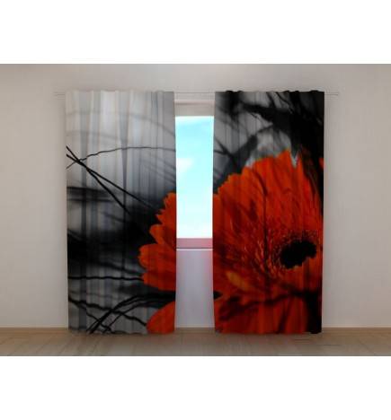 1,00 €Tente personnalisée - Avec un coquelicot nocturne