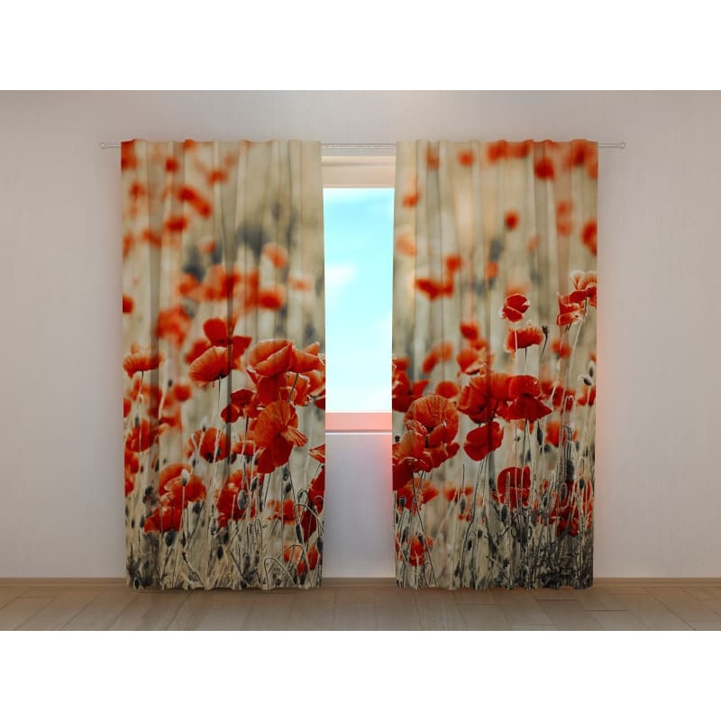 1,00 € Maßgeschneidertes Zelt – Mohnblumen im Maisfeld