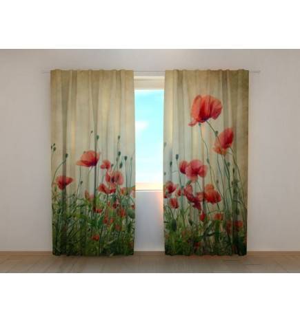 1,00 € Custom Tent - Country Poppies