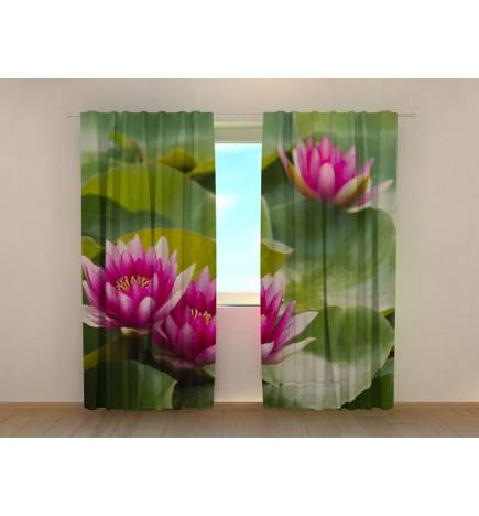 1,00 € Maßgeschneidertes Zelt – Mit Lilien auf der Wiese