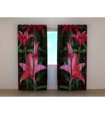 1,00 € Custom Tent - Night and Colorful Lilies