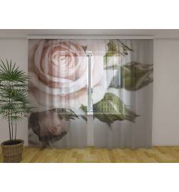 Custom curtain - The rose and the leaves