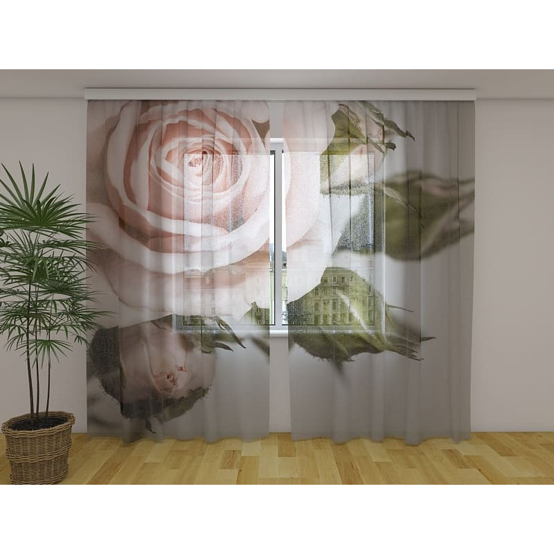 1,00 € Custom curtain - The rose and the leaves