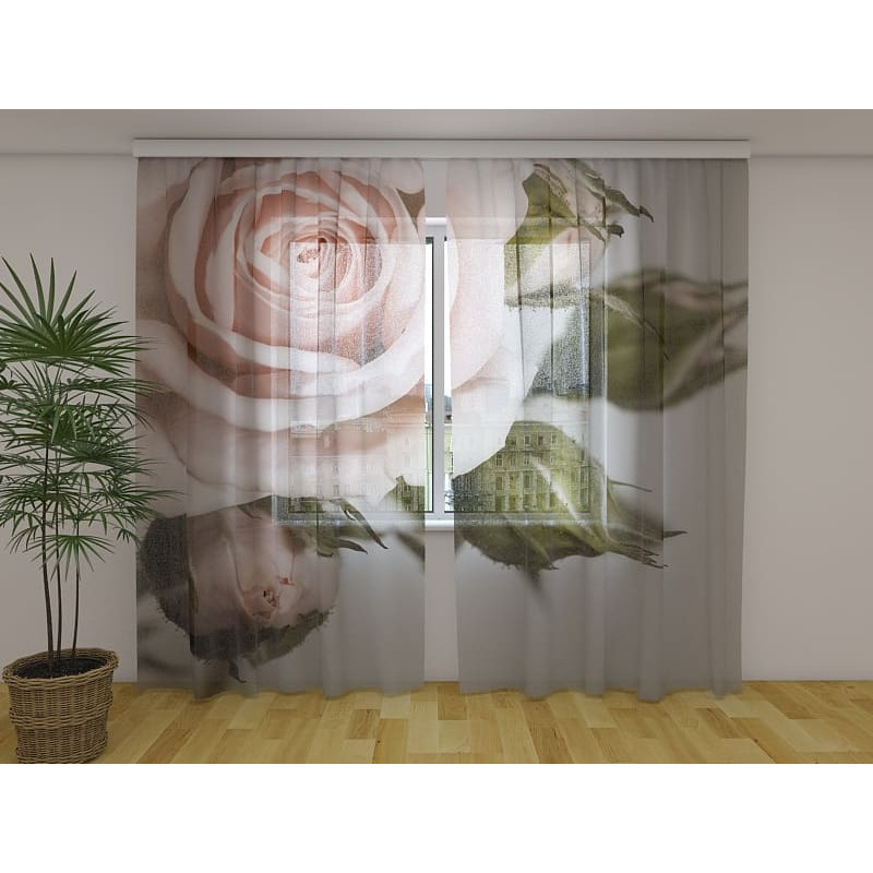 1,00 € Individualizuotos užuolaidos – rožė ir lapai