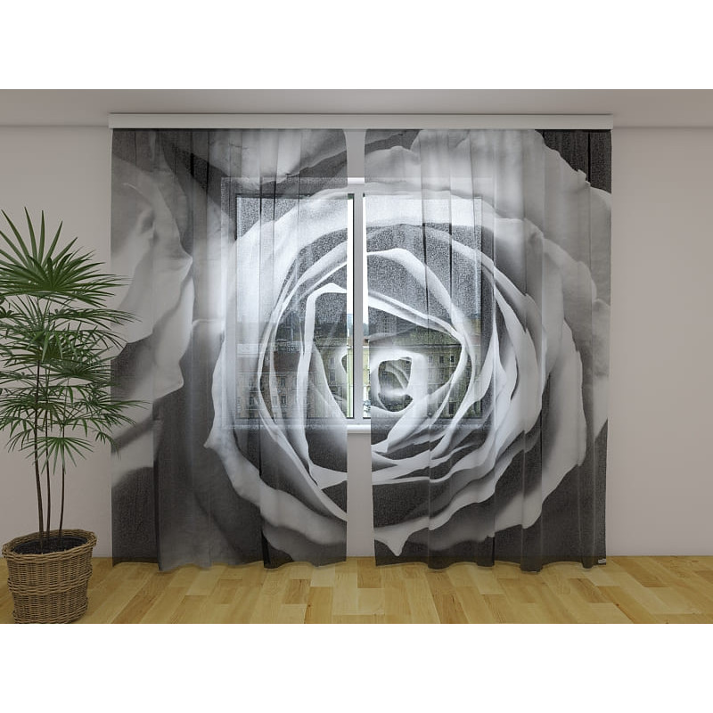1,00 € Custom curtain - The rose in black and white