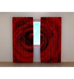 1,00 €Cortina personalizada - A rosa vermelha - ARREDALACASA