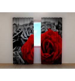 Maßgeschneiderter Vorhang – Die rote Rose in der Nacht