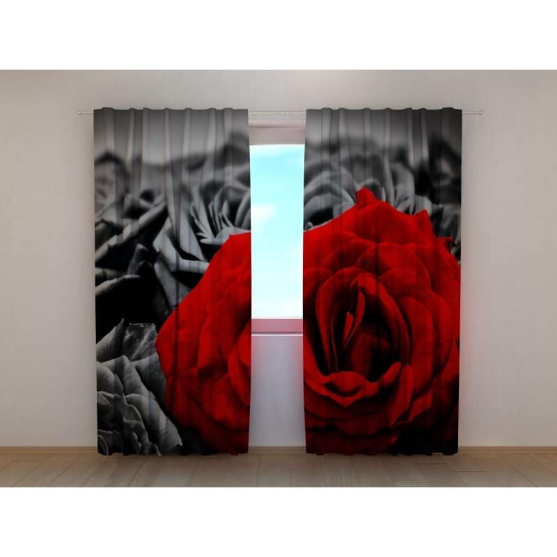 1,00 € Custom curtain - The red rose at night 1,00 € Custom curtain - The red rose at night