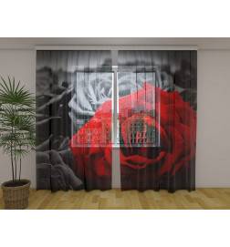 Custom curtain - The red rose at night