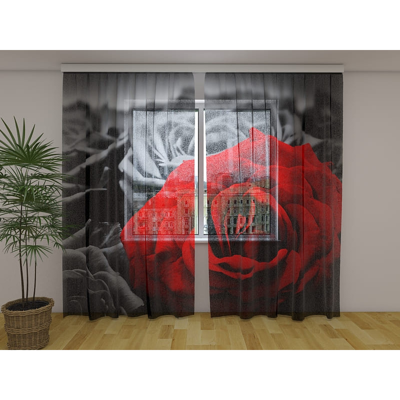 1,00 € Maßgeschneiderter Vorhang – Die rote Rose in der Nacht