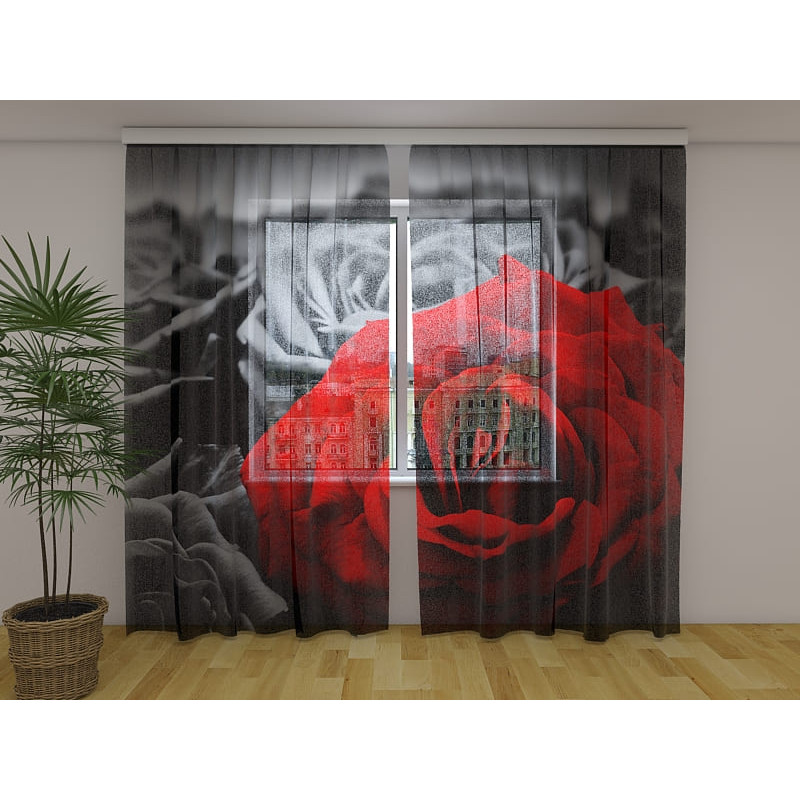 1,00 €Tenda personalizzata - La rosa rossa di notte