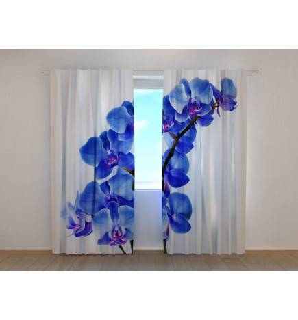 1,00 € Maßgeschneiderter Vorhang - Blaue Orchideen - WOHNARRANGEMENT