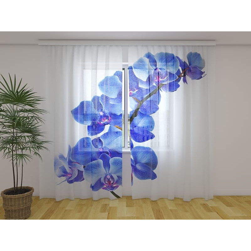 1,00 € Zavesa po meri - Modre orhideje - UREDITEV DOMA 1,00 € Zavesa po meri - Modre orhideje - UREDITEV DOMA