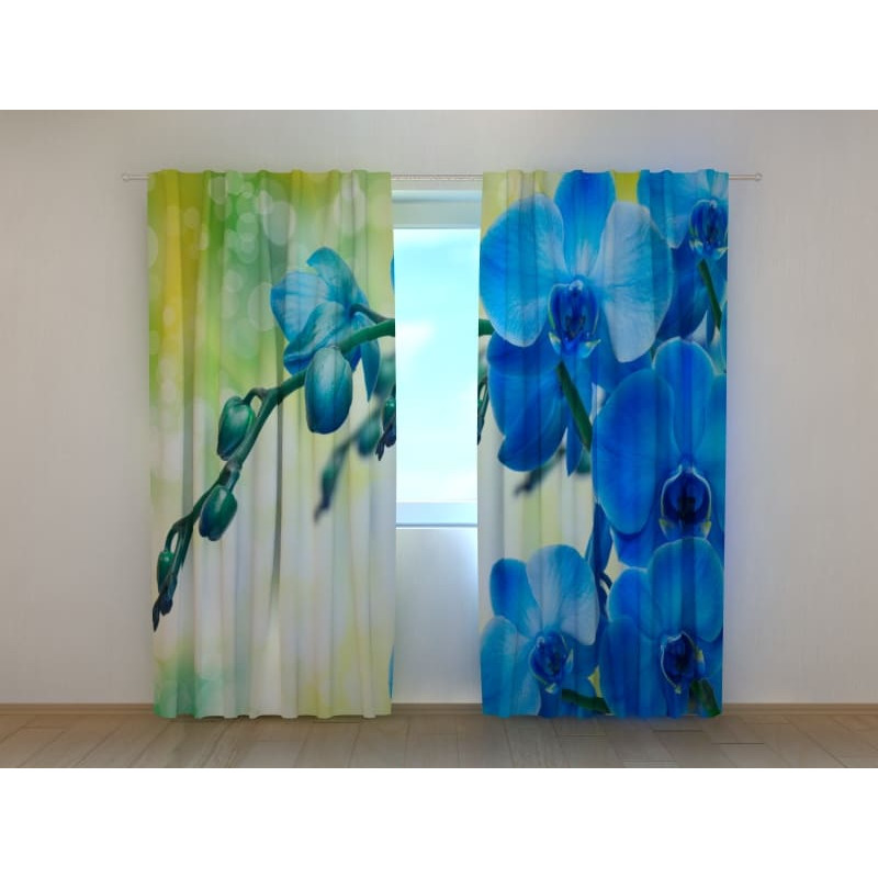 1,00 € Cortina personalizada - Con una rama de orquídeas azules