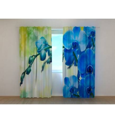 1,00 € Custom curtain - With a branch of blue orchids
