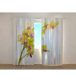 1,00 € Custom curtain - With a branch of yellow orchids