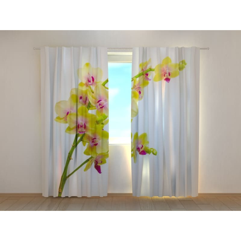 1,00 €Cortina personalizada - Com ramo de orquídeas amarelas