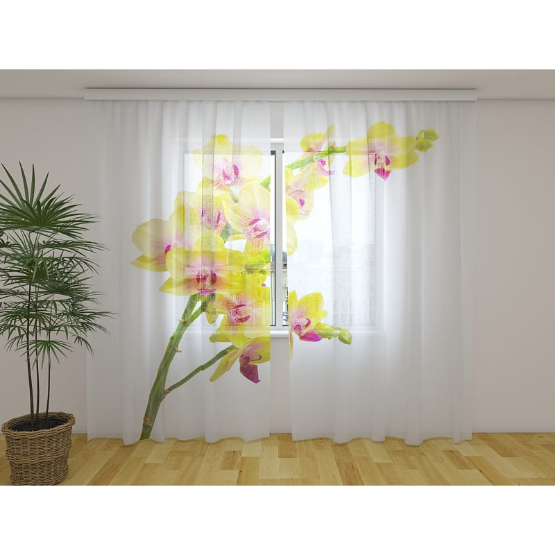 1,00 €Cortina personalizada - Com ramo de orquídeas amarelas