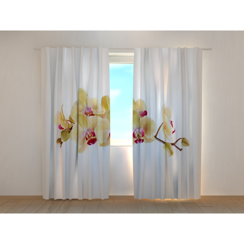 1,00 €Rideau personnalisé - Orchidées dorées - ARREDALACASA
